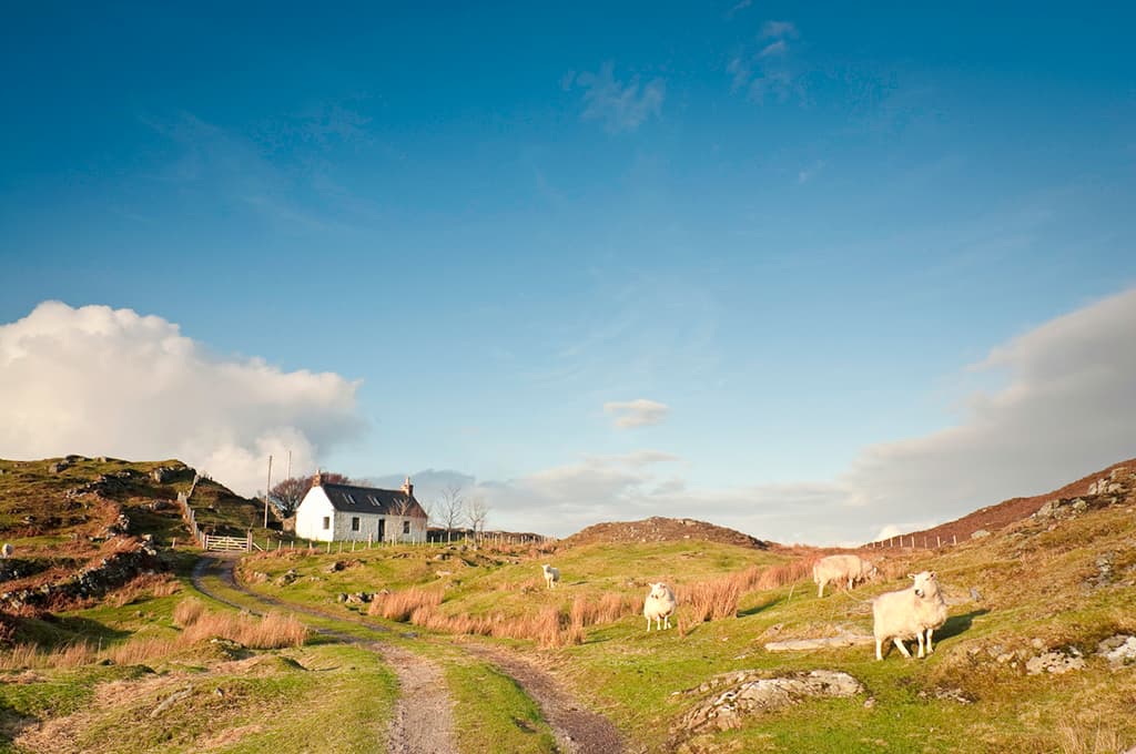 Choose logged-off living for property discounts