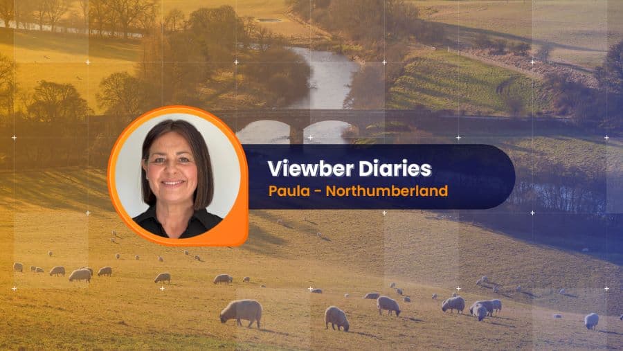 Viewber Diaries: Paula’s Story of Property, Freedom & Life in Northumberland