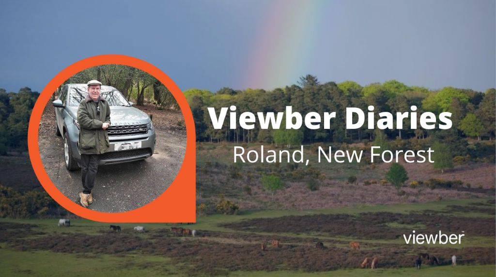 Viewber Diaries – Roland, New Forest