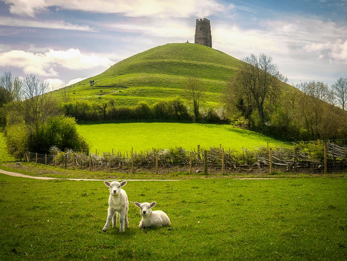 Surrey, Sussex & Somerset