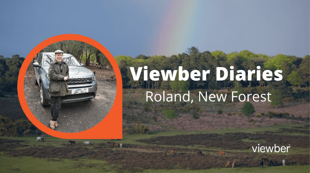Property Viewing Agent Dorset & Hampshire